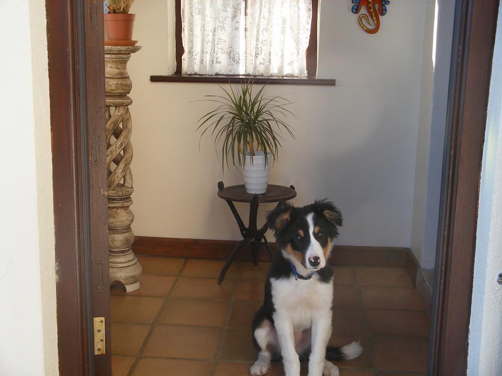 Doolin Cottage Accommodation Luaran gambar